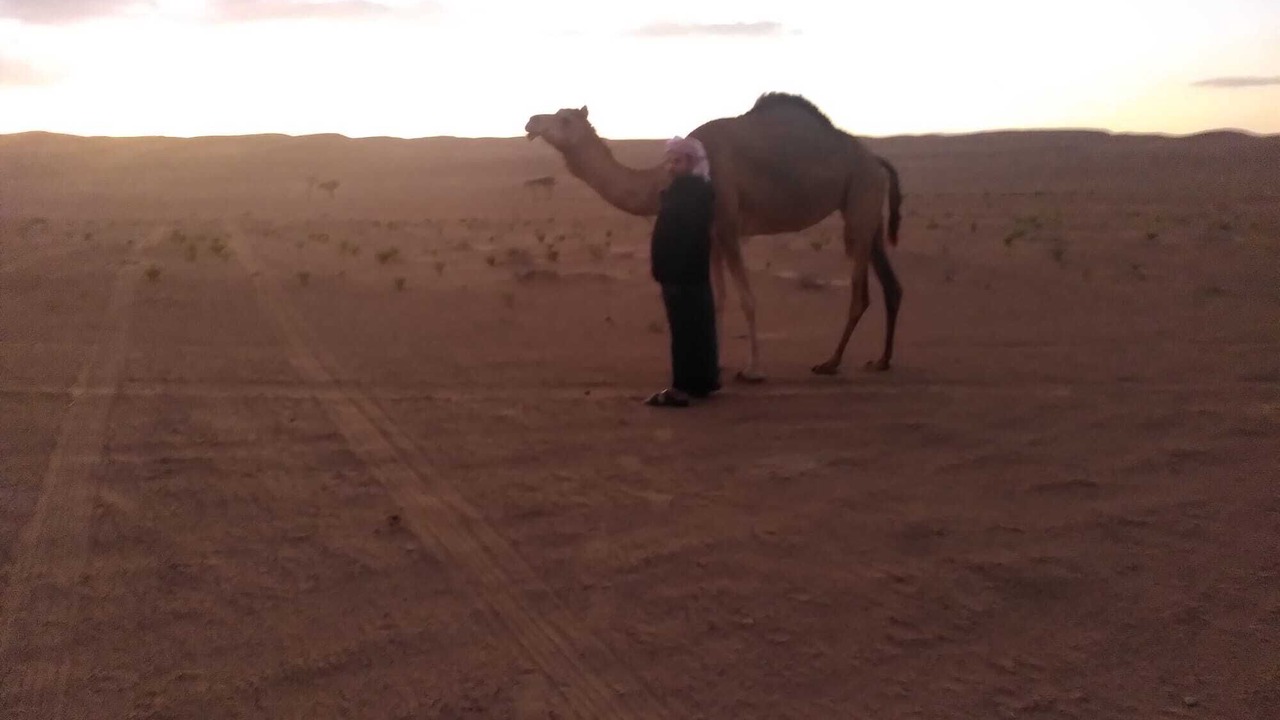 Photo of Others in Al Wasil