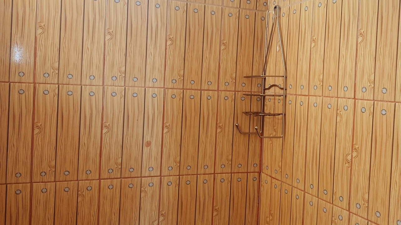 Photo of Bathroom in Managua