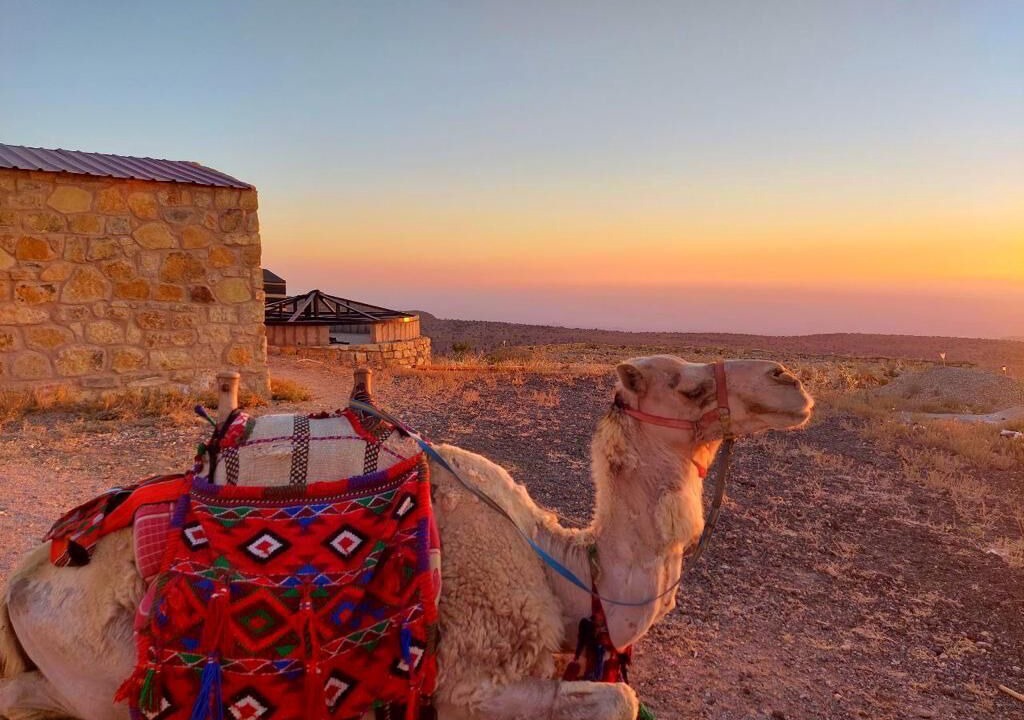 Photo of Others in Dana