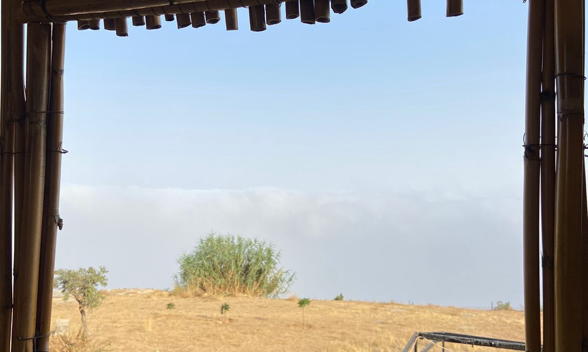 Photo of Outdoor in Dana