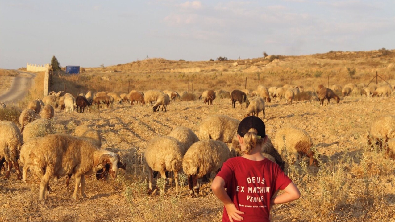 Photo of Others in Dana