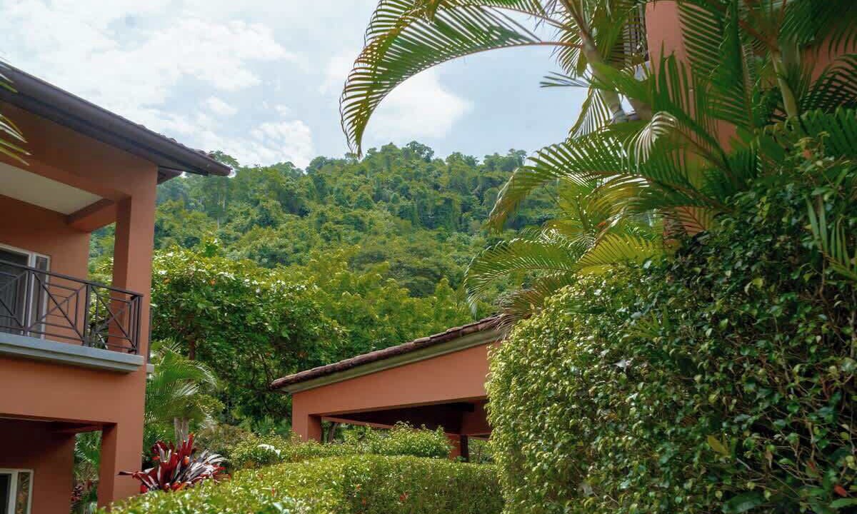 Photo of Outdoor in Herradura