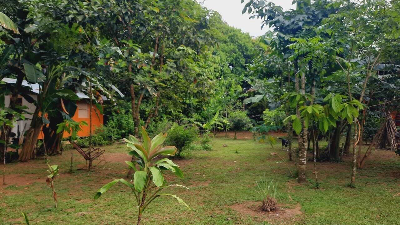 Photo of Outdoor in Los Planes