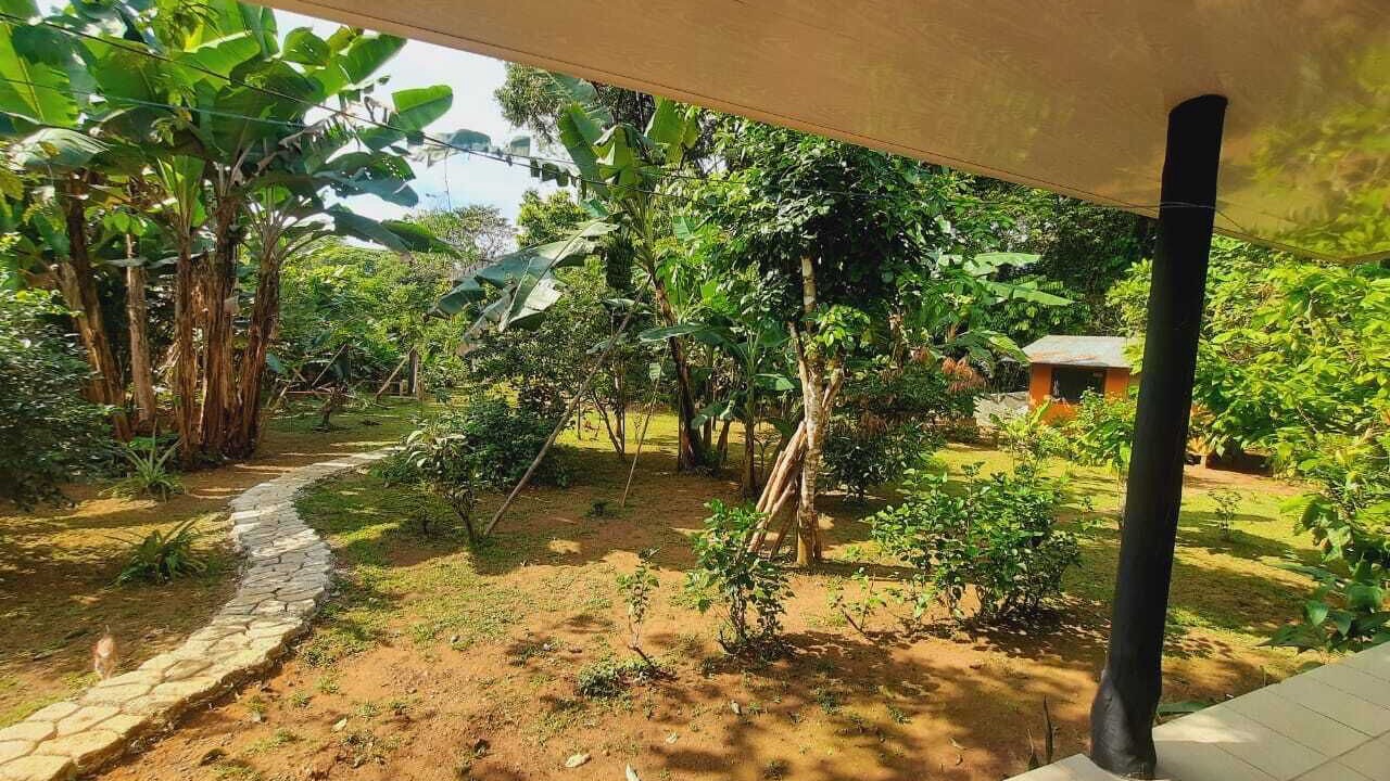Photo of Patio Balcony in Los Planes