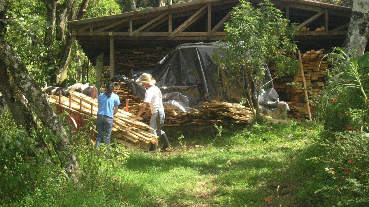 Photo of Others in Concepcion