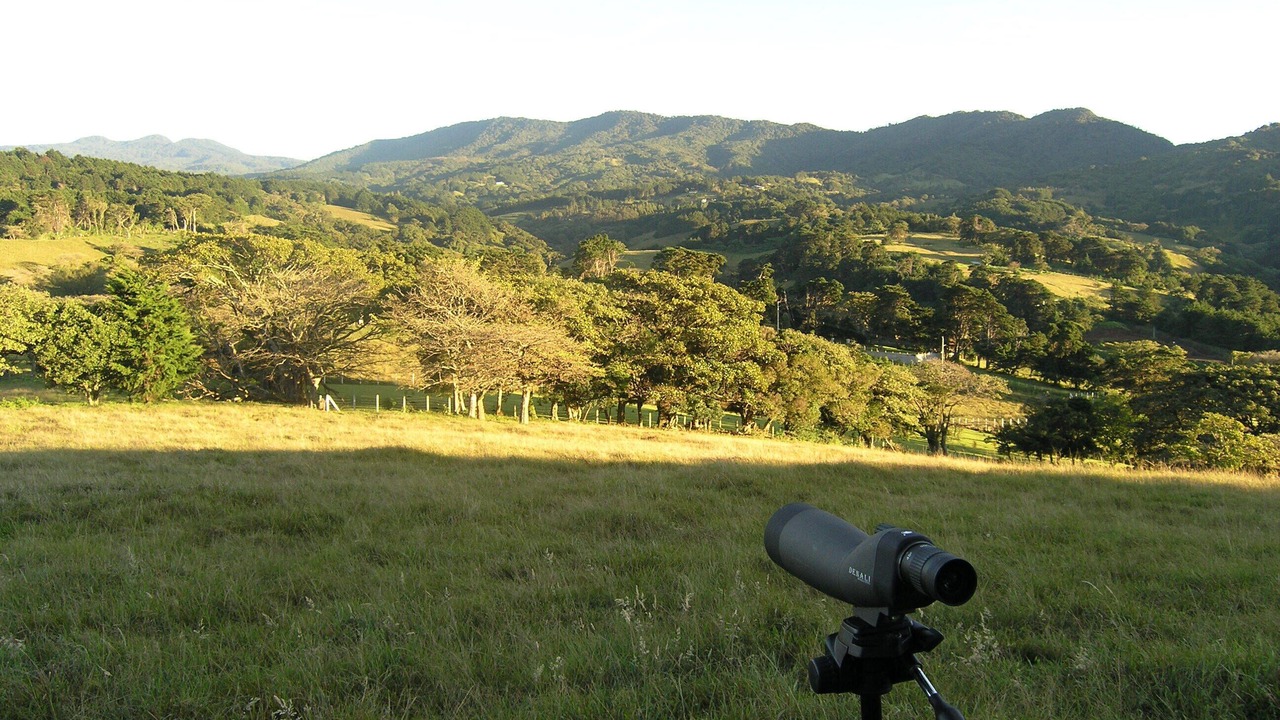 Photo of Others in Concepcion