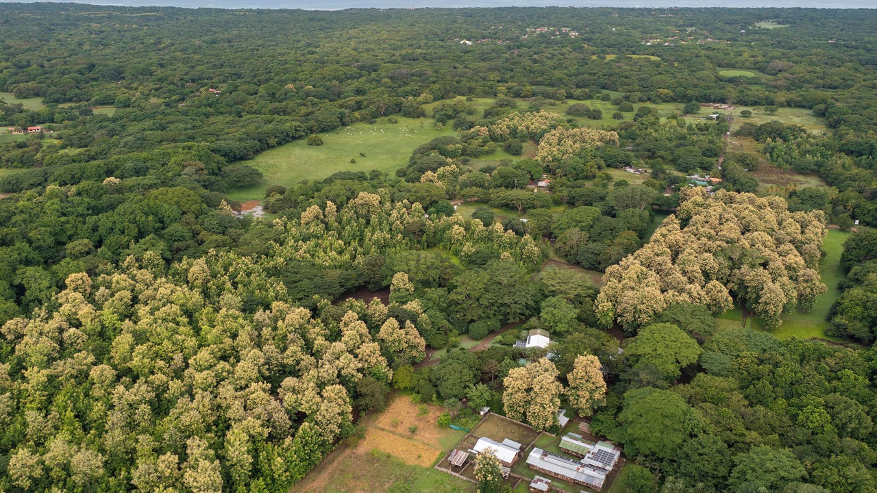 Photo of Outdoor in Pinilla