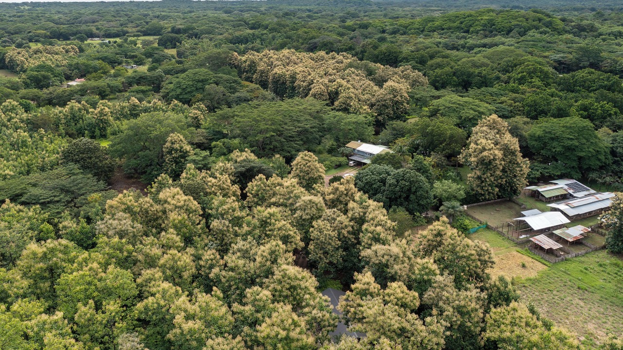 Photo of Outdoor in Pinilla