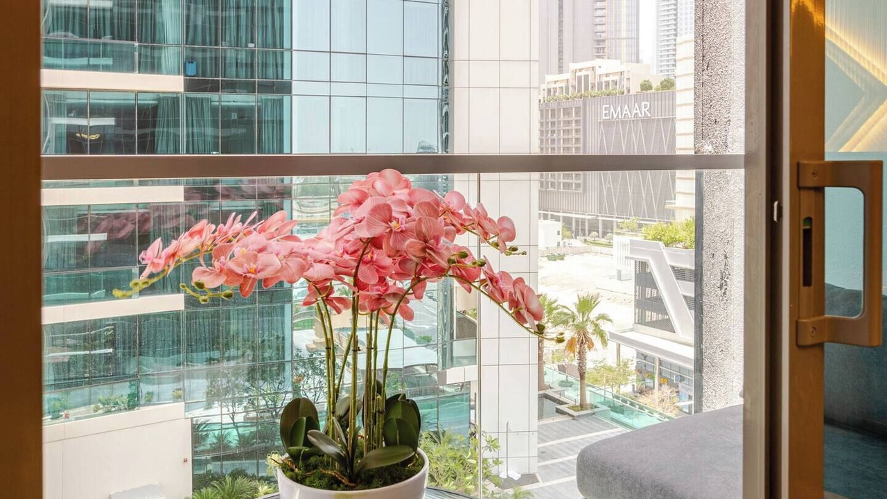 Photo of Patio Balcony in Al Wasl