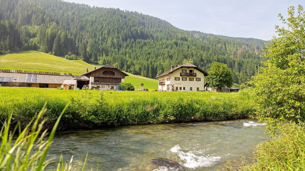 Photo of Outdoor in Valle San Silvestro