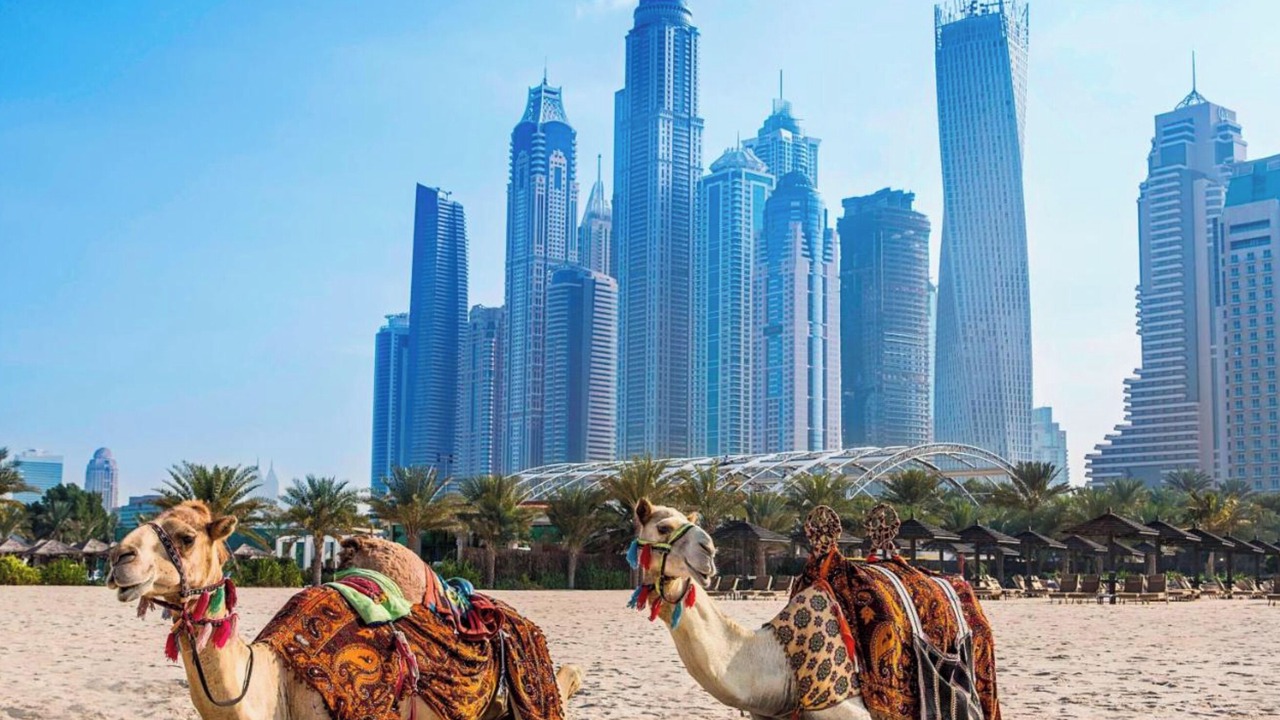 Photo of Others in Sheikh Zayed Road