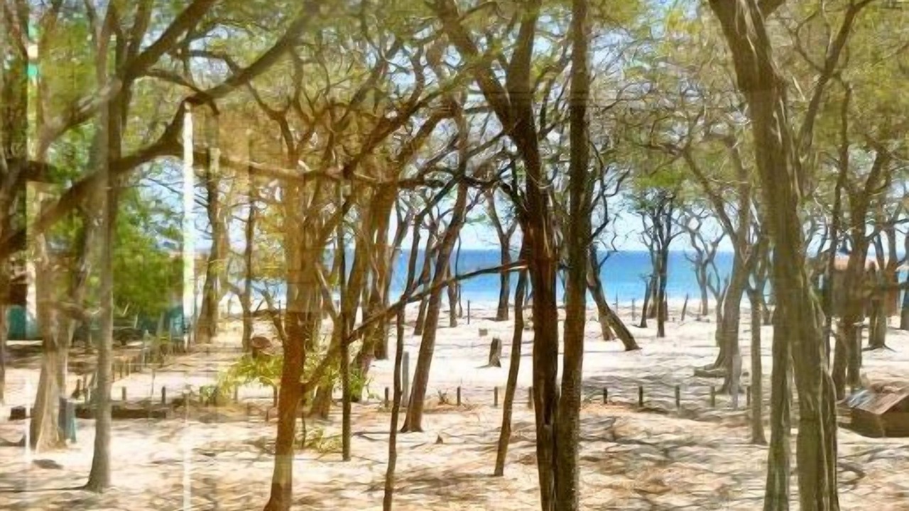Photo of Others in San Juan del Sur
