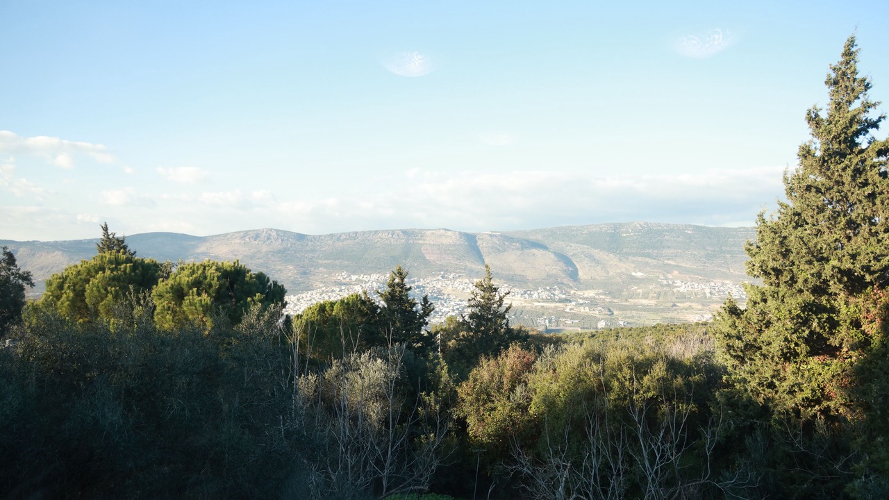 Photo of Others in Michmanim