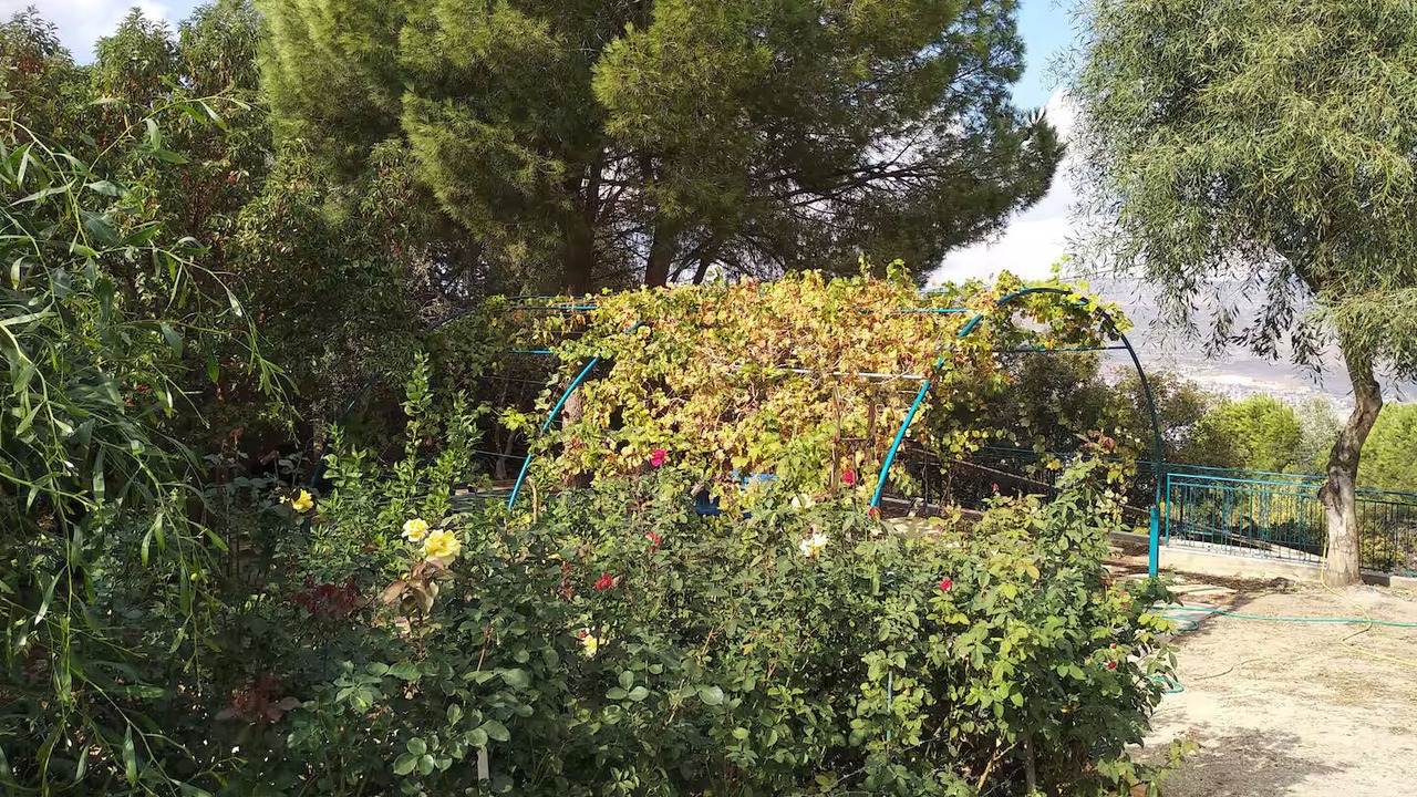 Photo of Outdoor in Michmanim