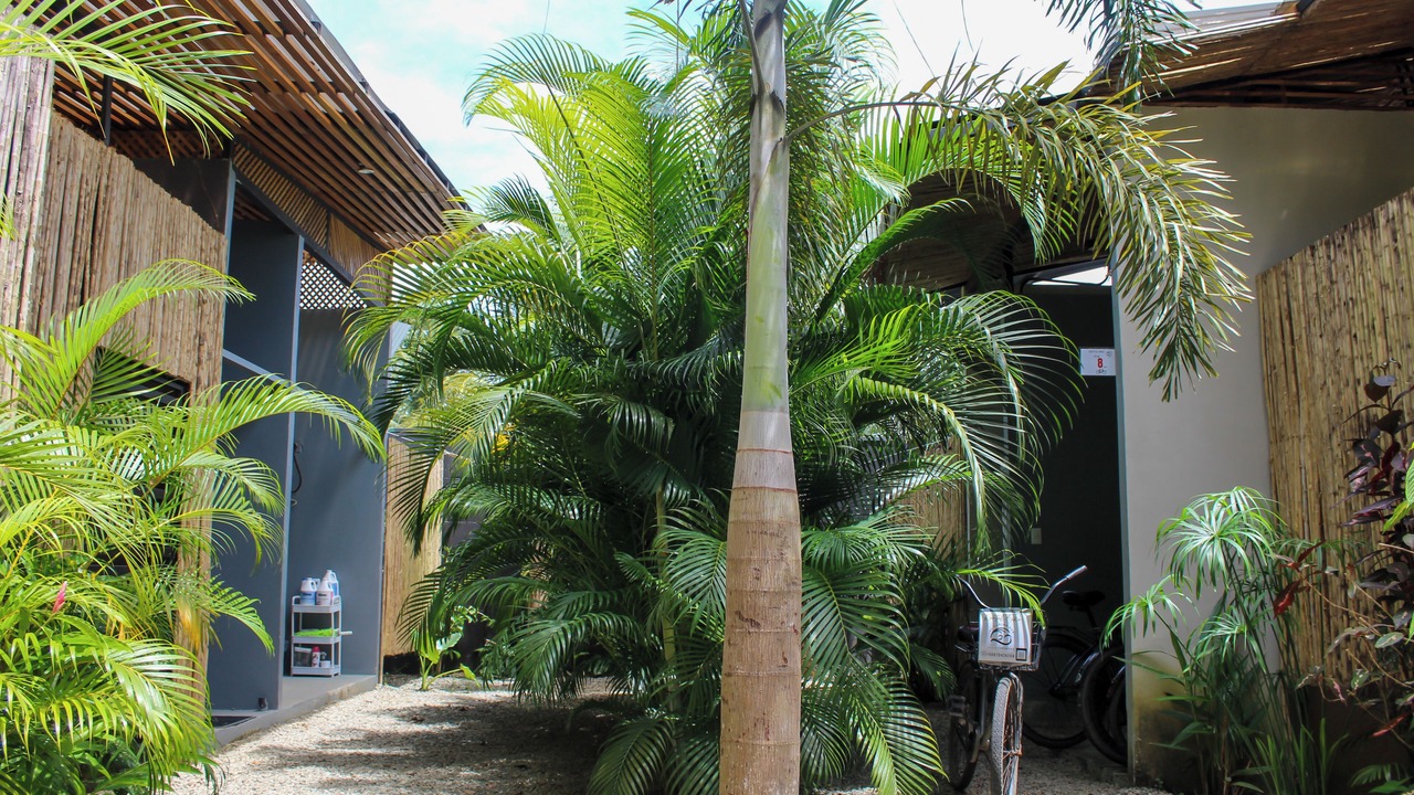 Photo of Outdoor in Puerto Viejo de Talamanca