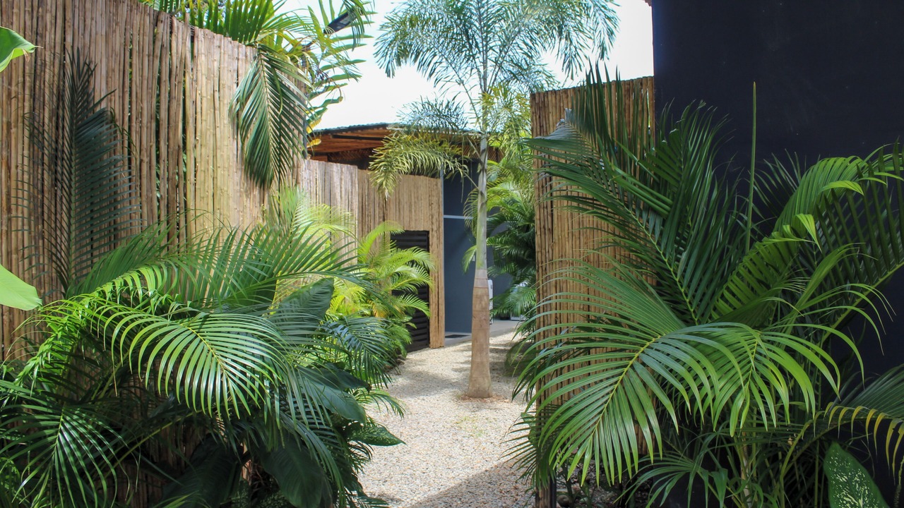Photo of Outdoor in Puerto Viejo de Talamanca