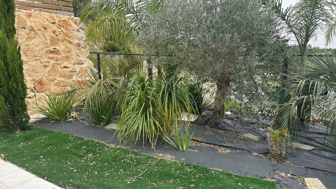 Photo of Outdoor in Isfiya