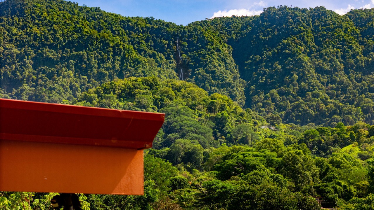 Photo of Outdoor in Ballena