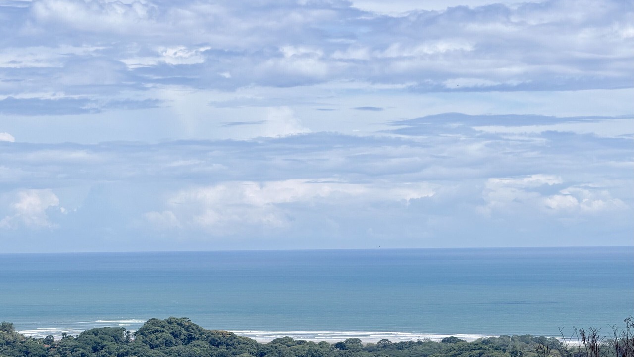 Photo of Others in Ballena