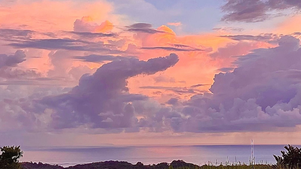 Photo of Outdoor in Ballena