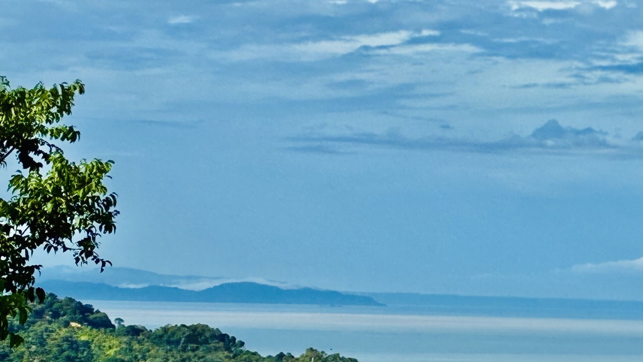 Photo of Others in Ballena