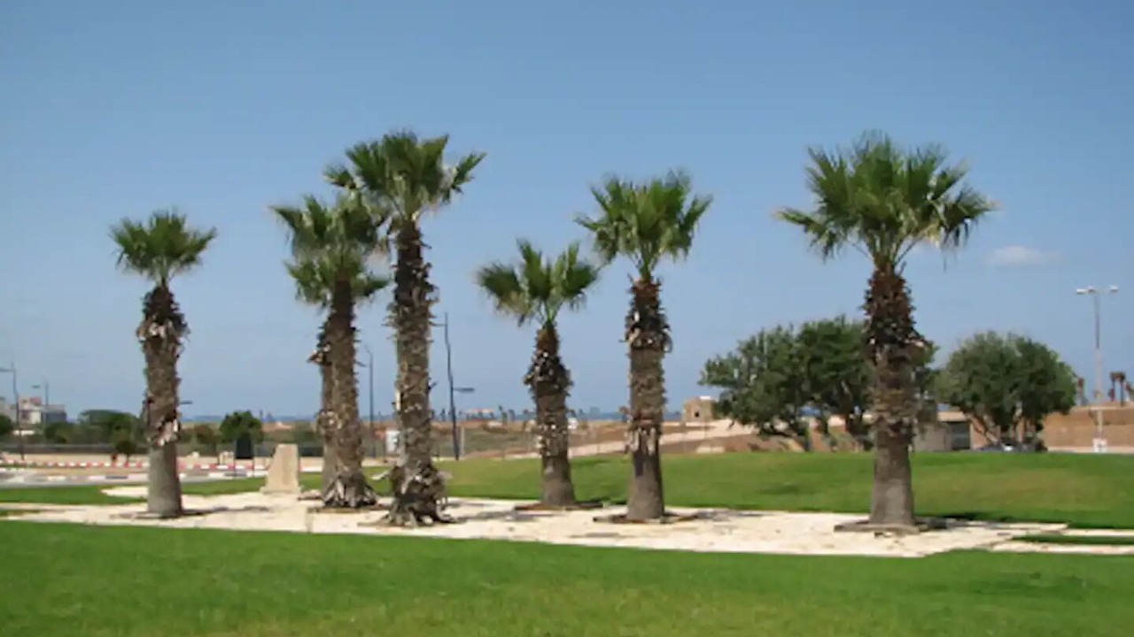 Photo of Outdoor in Ashkelon