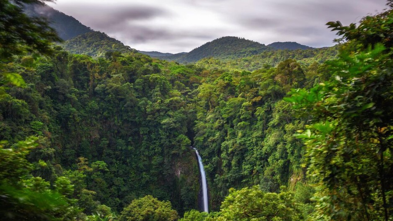 Photo of Others in Dominical