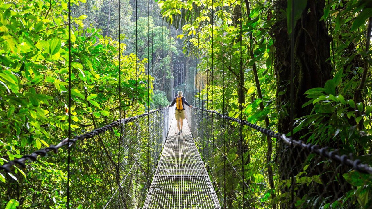Photo of Others in Dominical