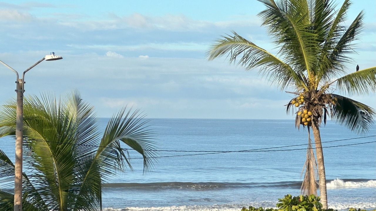 Photo of Others in Jaco