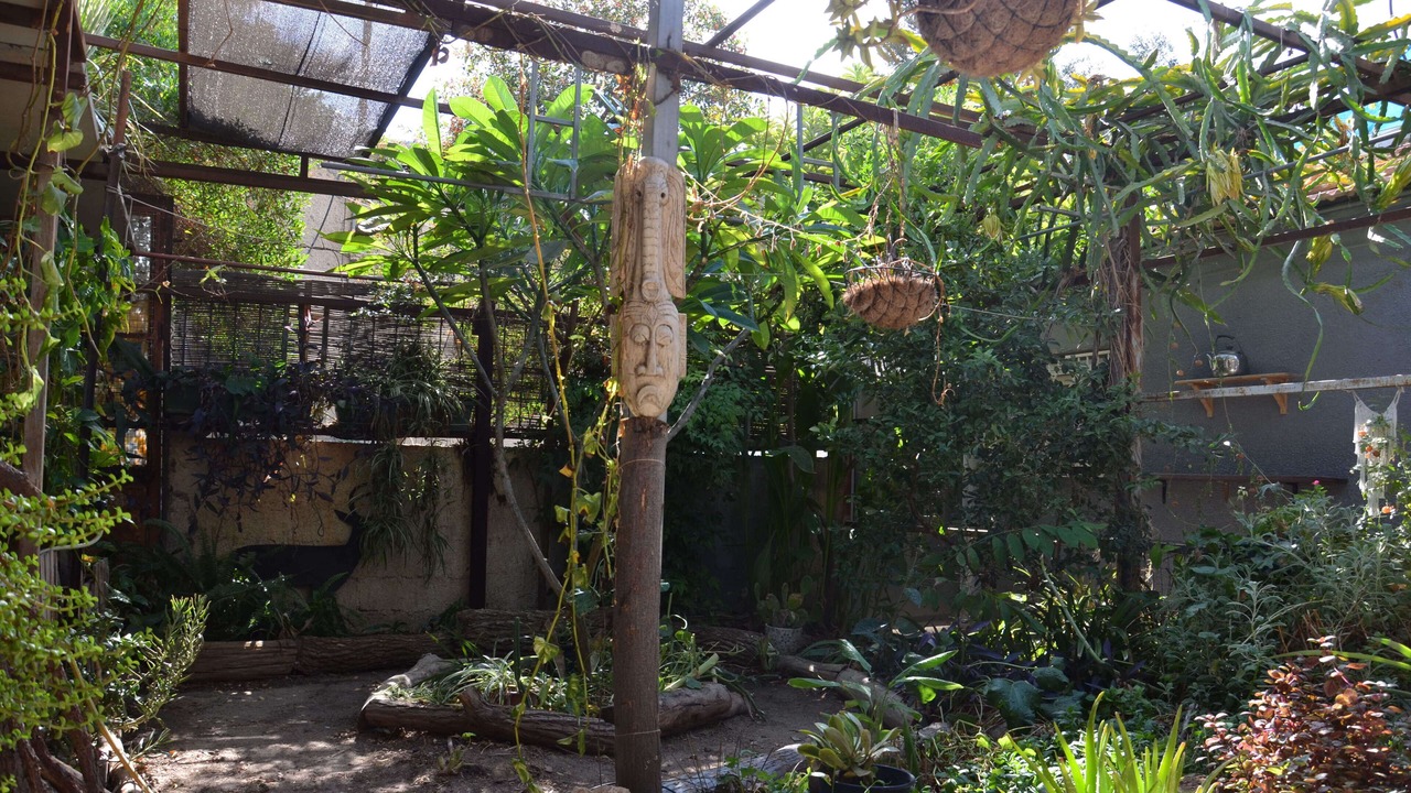 Photo of Outdoor in Beersheba
