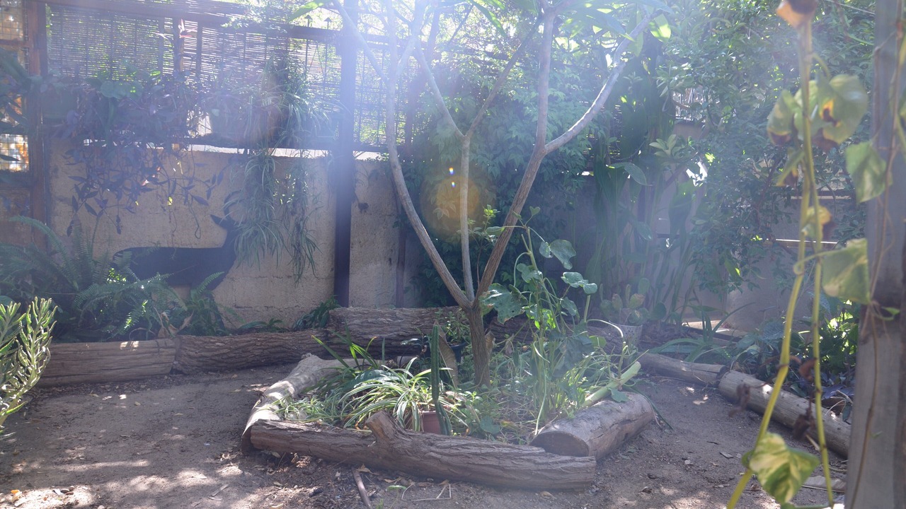 Photo of Outdoor in Beersheba