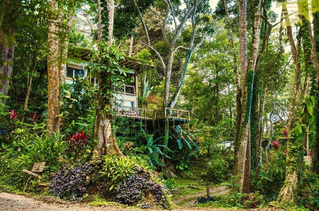 Photo of Outdoor in Cahuita