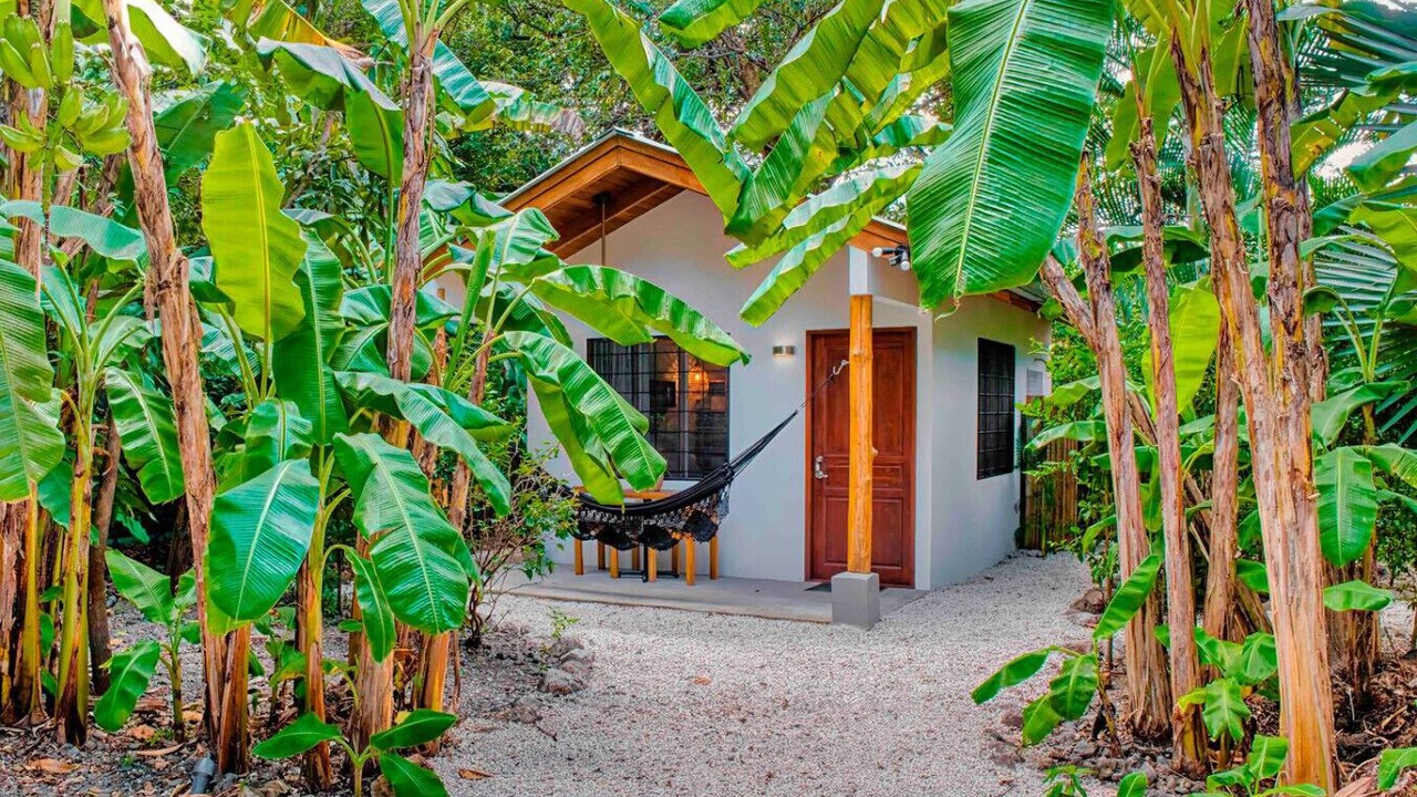 Photo of Outdoor in Nosara