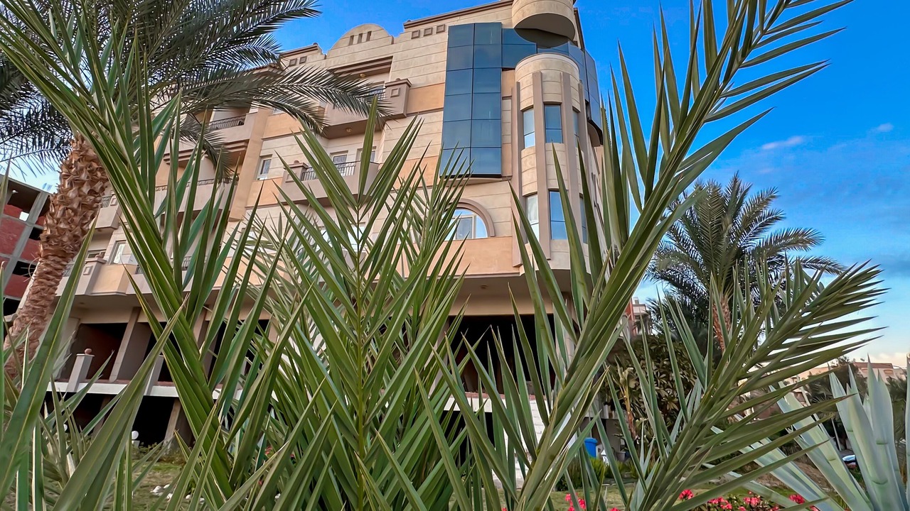Photo of Outdoor in Al Mamsha El Seyahi