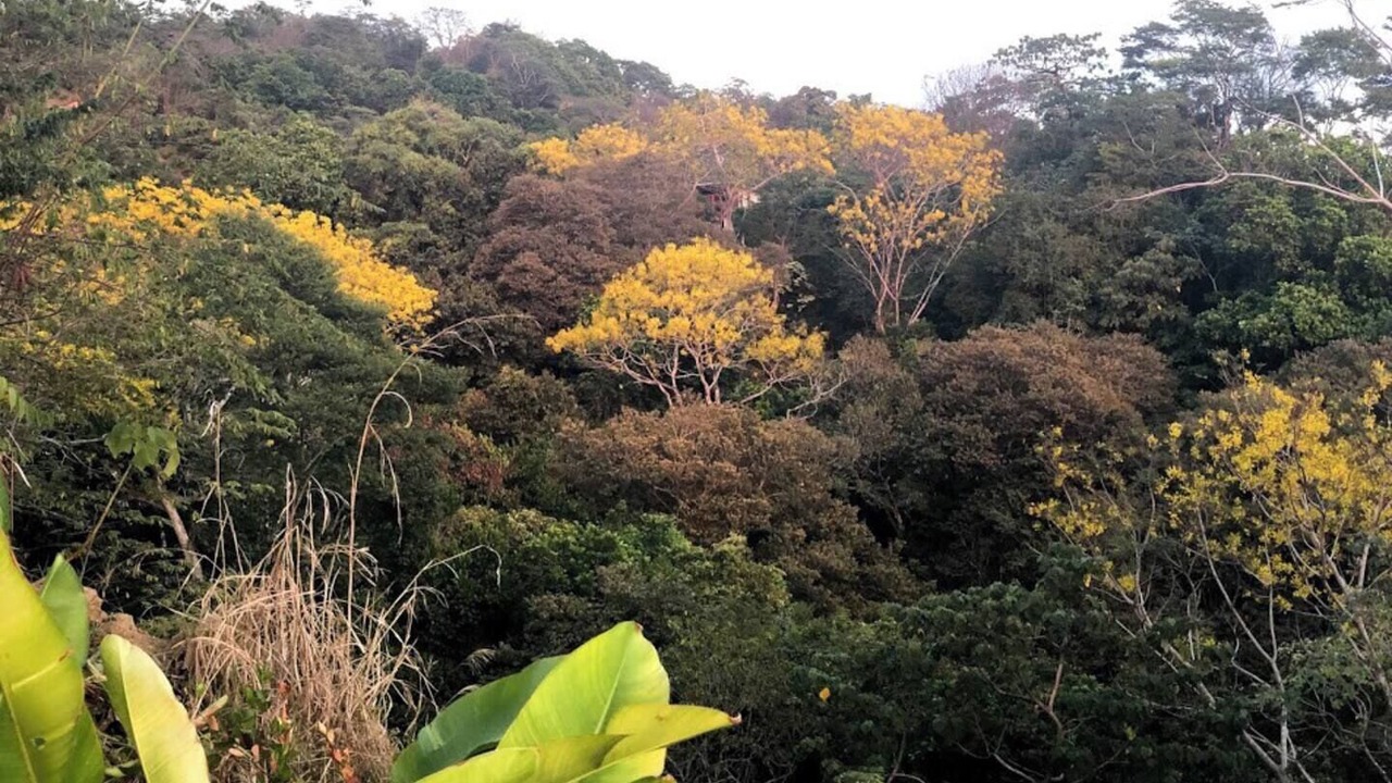 Photo of Others in Santa Teresa