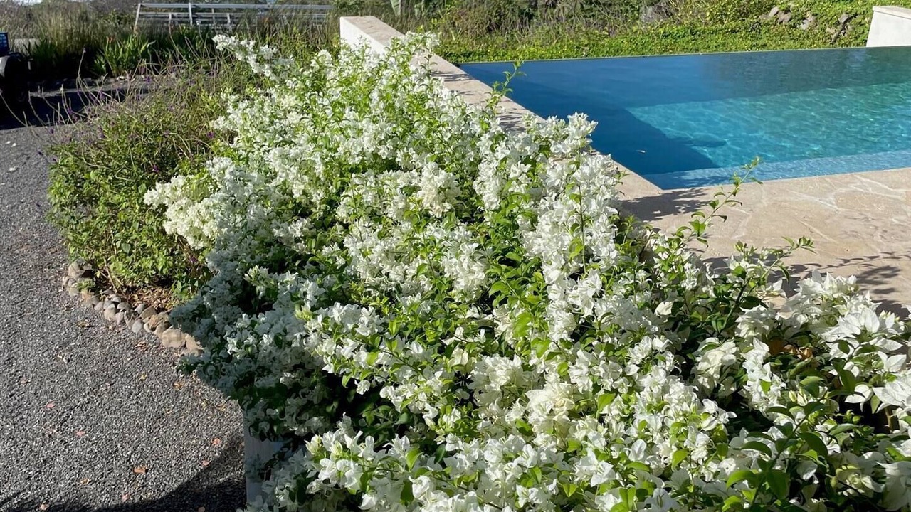 Photo of Outdoor in Santa Teresa
