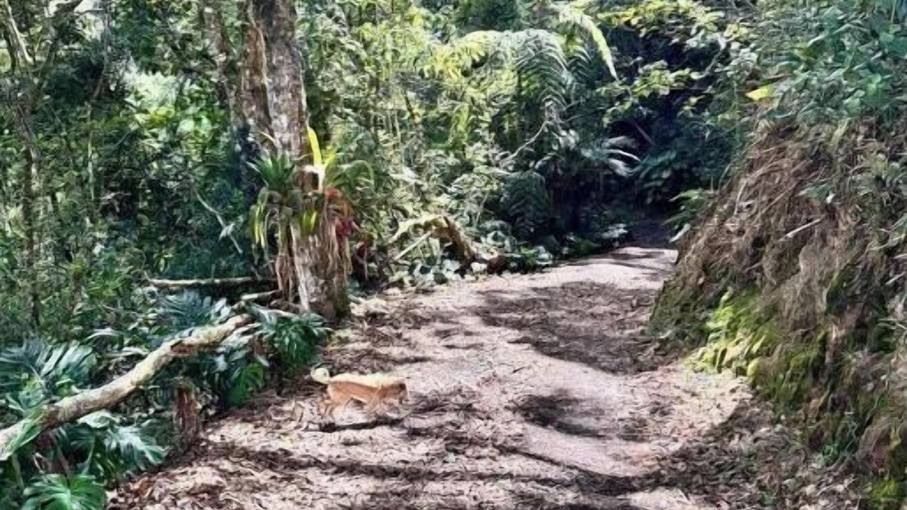 Photo of Outdoor in Los Guido
