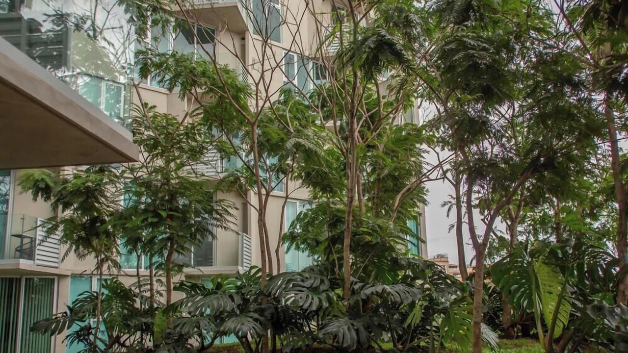 Photo of Outdoor in Mata Redonda