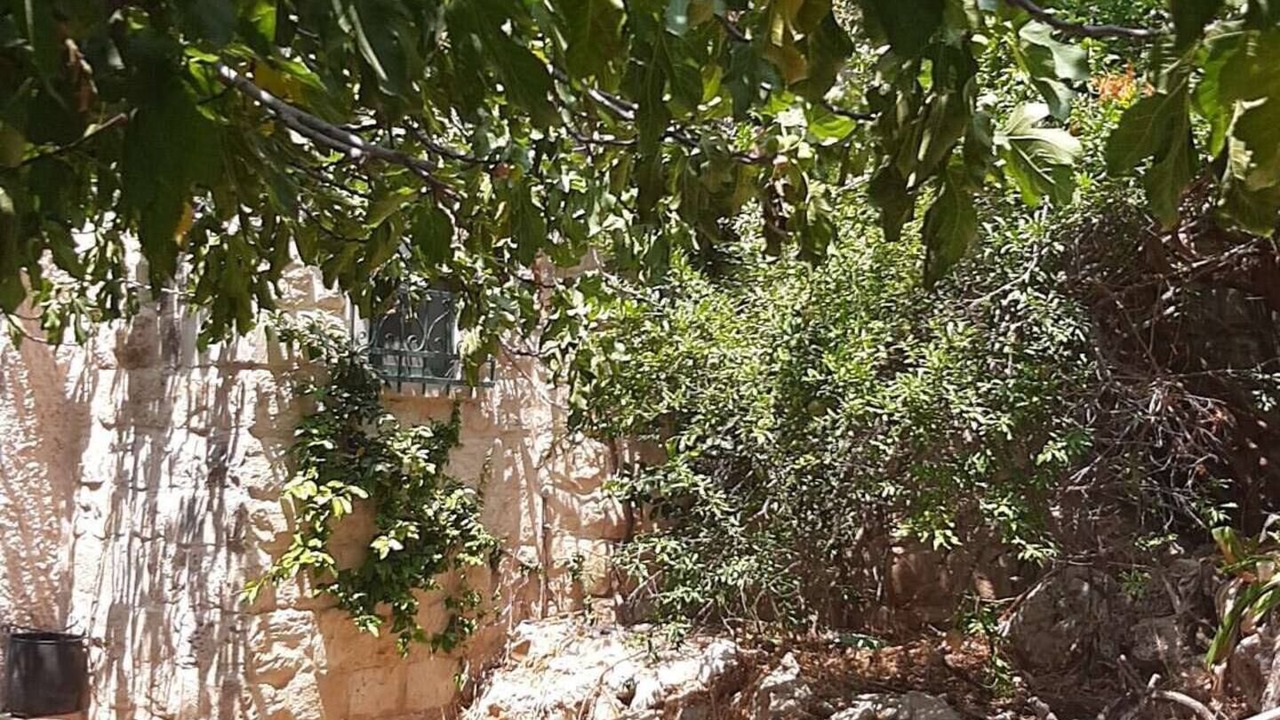 Photo of Outdoor in Safed