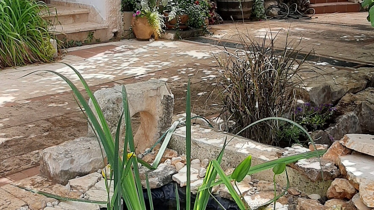 Photo of Outdoor in Safed