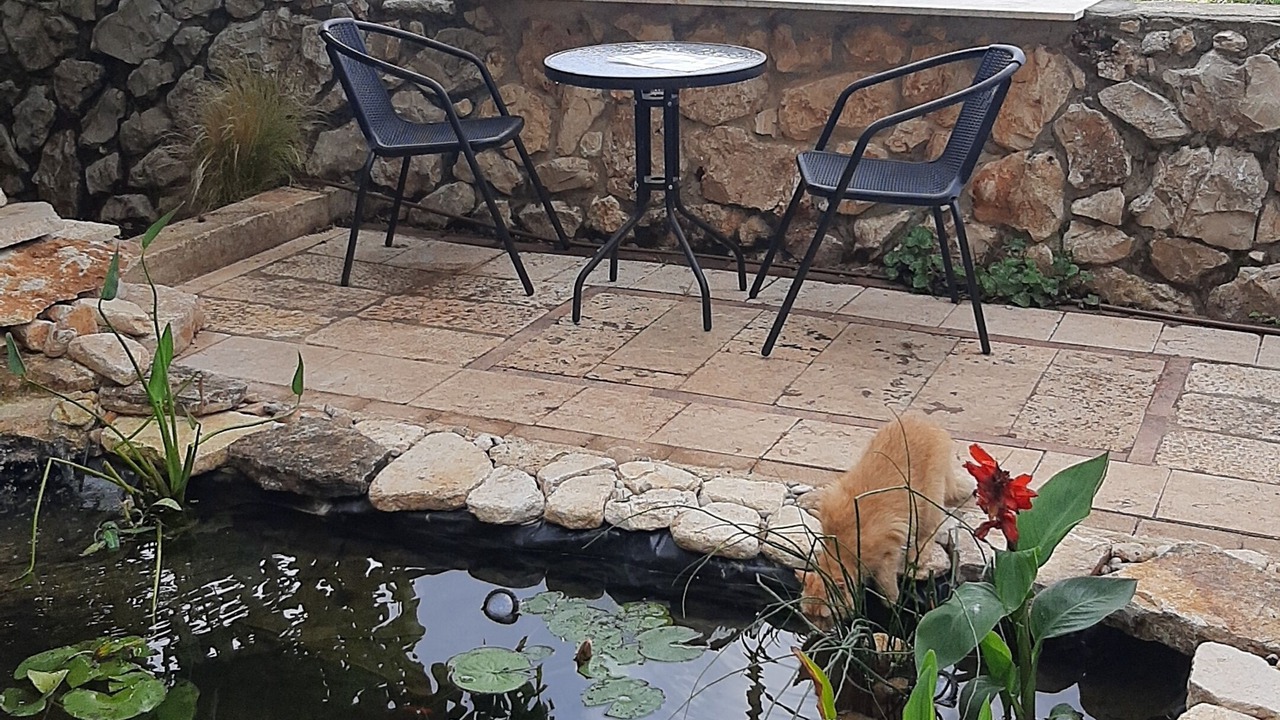 Photo of Outdoor in Safed