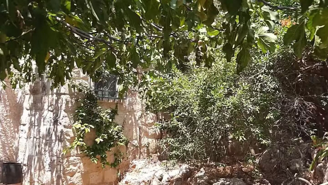 Photo of Outdoor in Safed