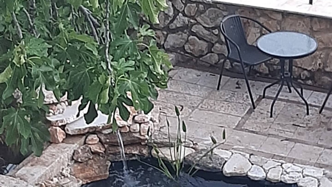 Photo of Outdoor in Safed
