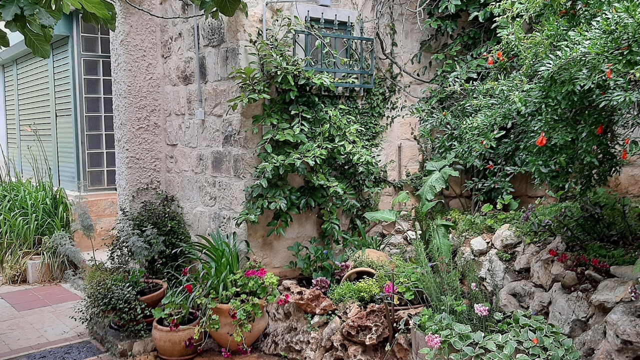 Photo of Outdoor in Safed
