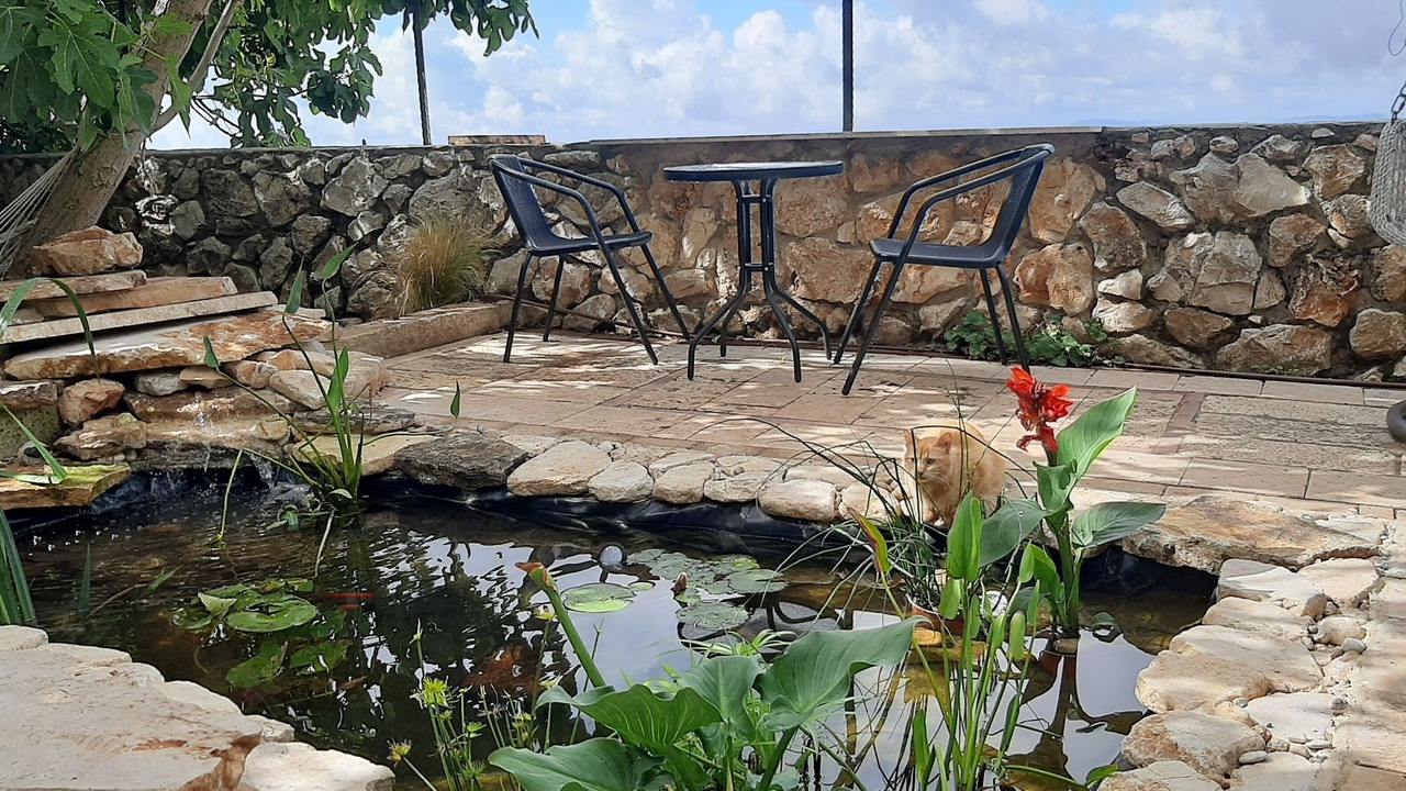 Photo of Outdoor in Safed