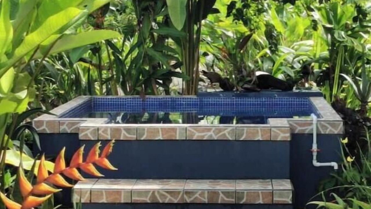 Photo of Outdoor in Puerto Jimenez