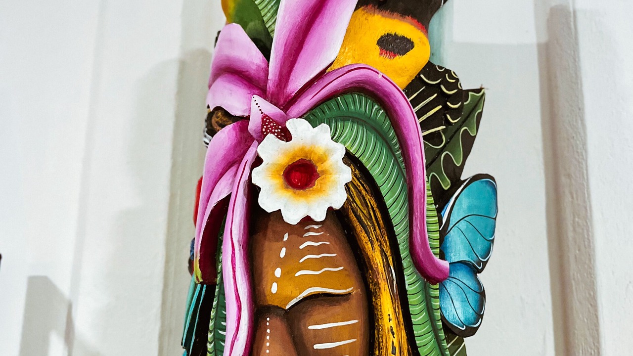 Photo of Others in Puerto Jimenez
