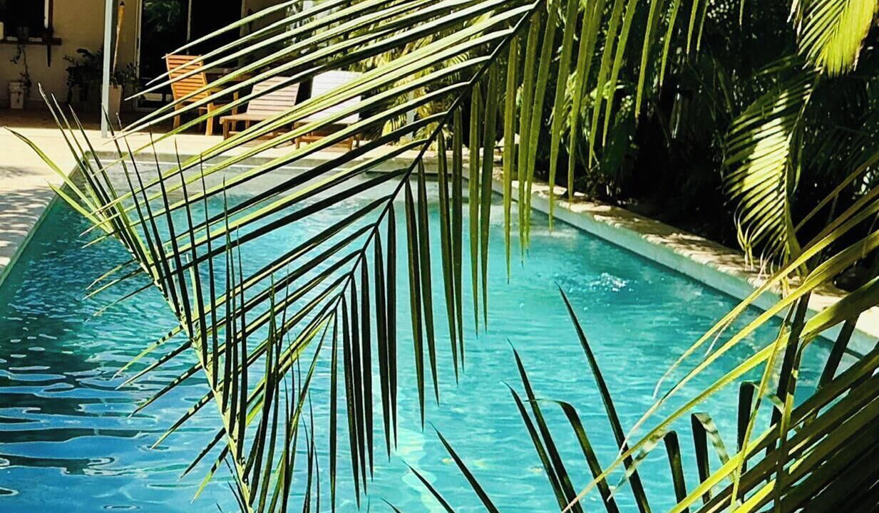 Photo of Outdoor in Tamarindo