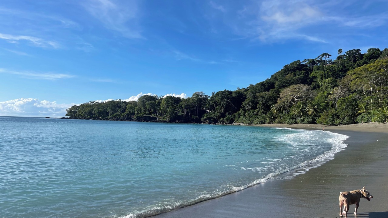 Photo of Others in Puerto Jimenez