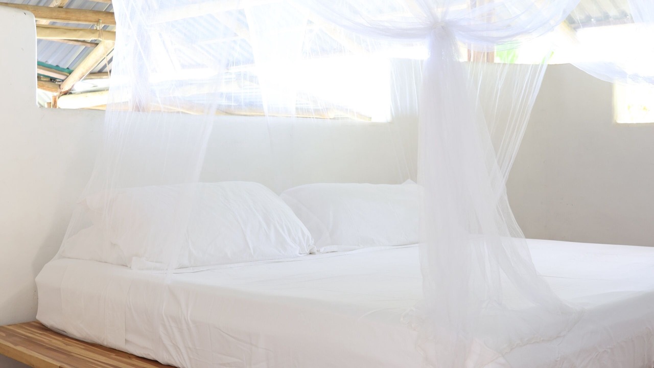 Photo of Bedroom in Puerto Jimenez